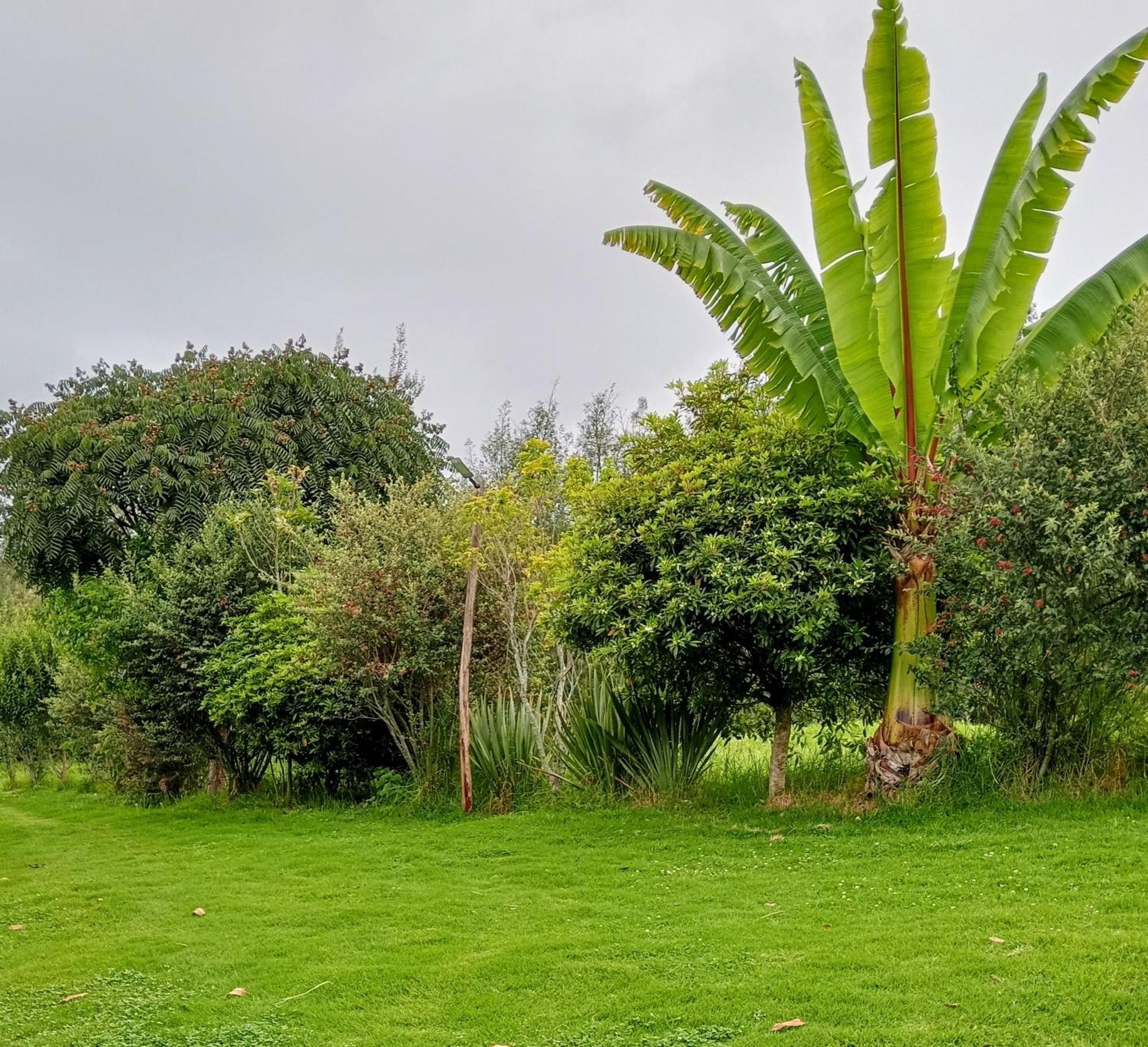 Campo de lujo Linos